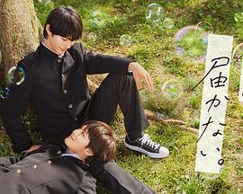 seo优化从哪里进行